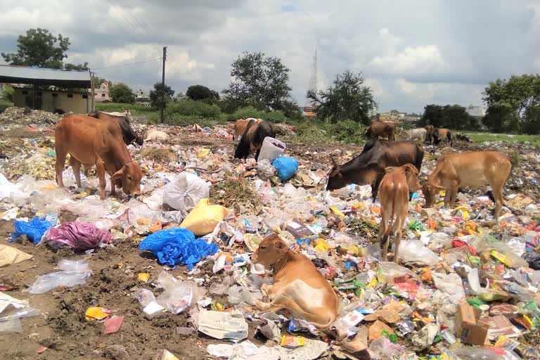 Garbage transport