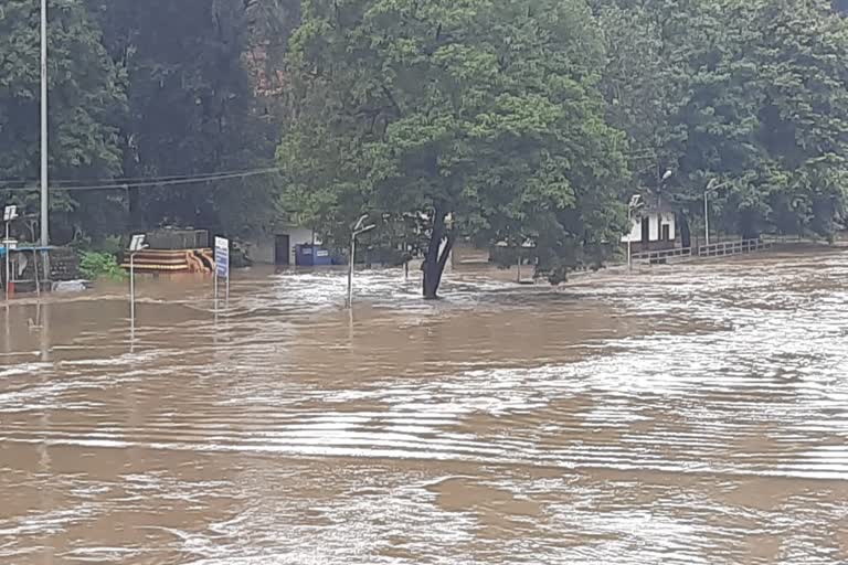 Rain in kukke subramanya