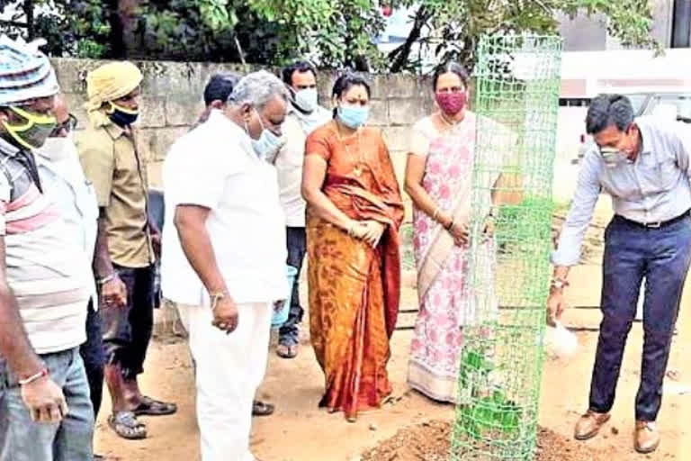 harithaharam program in pothireddypalli