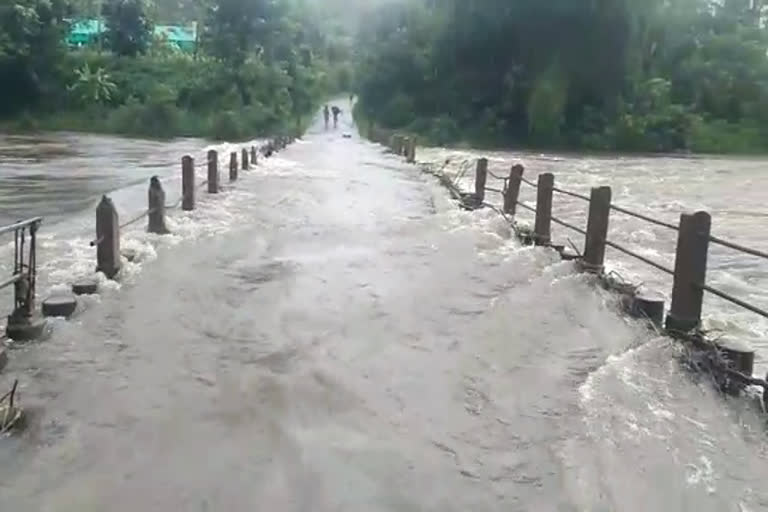 മംഗലം, കാഞ്ഞിരപ്പുഴ അണക്കെട്ടുകളുടെ ഷട്ടർ ഉയർത്തി  പാലക്കാട്  കനത്ത മഴ  ഭാരതപ്പുഴ  Mangalam and Kanjirapuzha dams  shutters of Mangalam and Kanjirapuzha dams raised