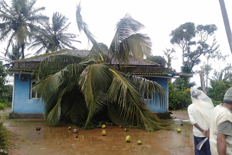 ಭಾರಿ ಗಾಳಿ ಮಳೆ