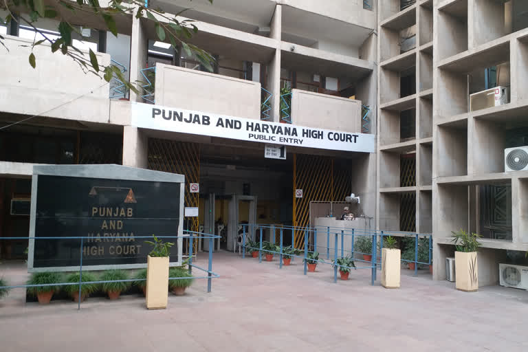 punjab haryana high court