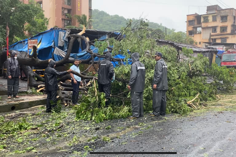 monsoon in palghar