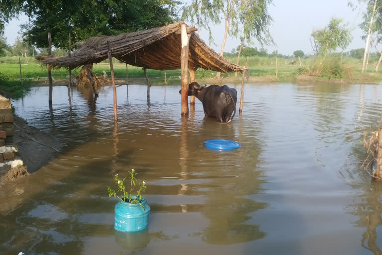 flood situation in kasganj