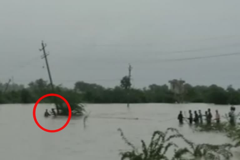 Dharwad: Villagers rescued a man floating in a ditch