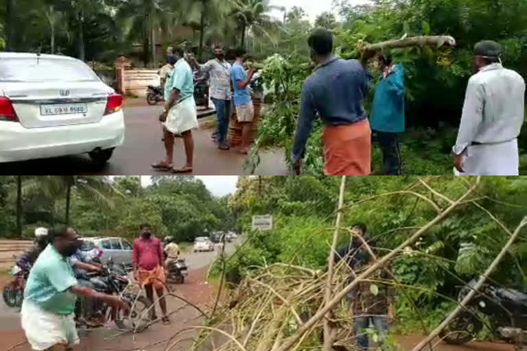 പരിയാരം ഗ്രാമപഞ്ചായത്ത്  തലോറ വാർഡ് അടച്ചു  നെല്ലിപ്പറമ്പ് സ്വദേശിക്ക് കൊവിഡ്  തലോറയില്‍ കർശന നിയന്ത്രണം  pariyaram grama panchayat  thalora ward closed  nelliparamb native covid news  kannur covid  കണ്ണൂർ കൊവിഡ് വാർത്തകൾ