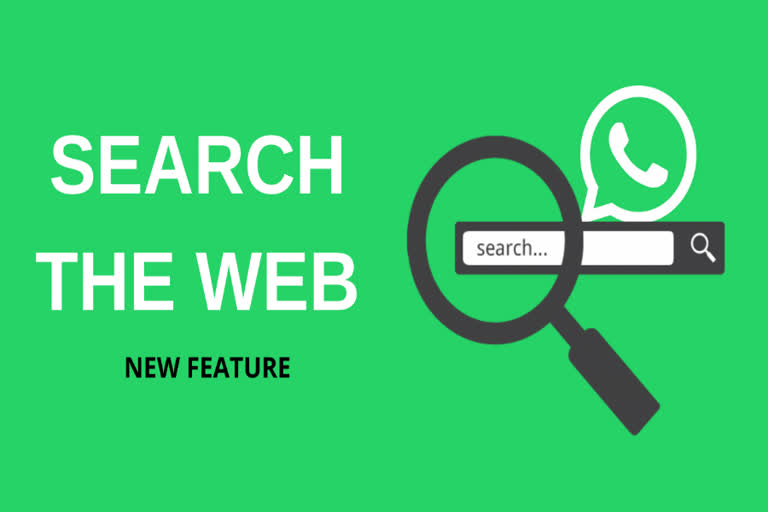 whatsapp search the web, whatsapp search the web feature