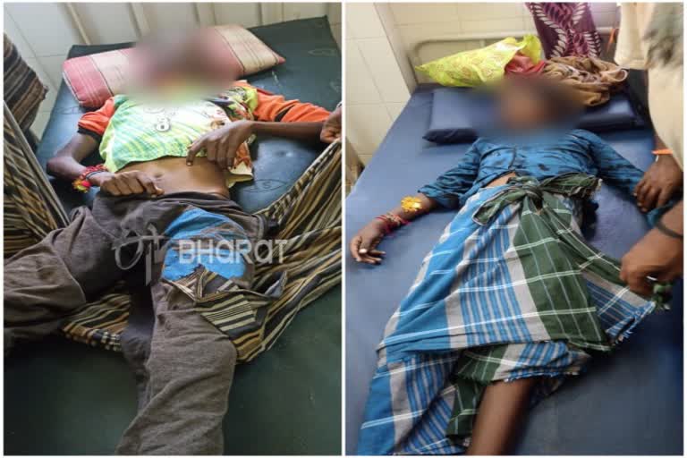 Brothers dies in Snake bite in Koppla