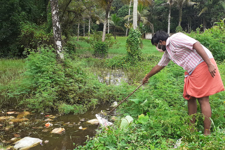 പത്തനംതിട്ട  മാലിന്യ നിക്ഷേപം ഏറുന്നു  കൊവിഡ് ബാധ