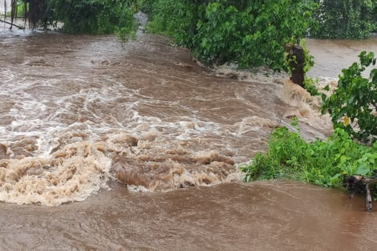 Heavy rains disrupt public life in raigad district