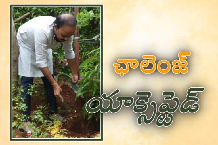 chevella mp gaddam ranith reddy plantation in the part of green india challenge