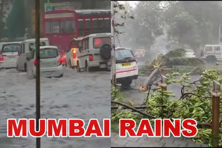 Reduction in rainfall expected in Mumbai on Thursday: IMD