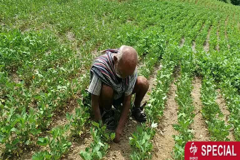 Leprosy Divyang farmer