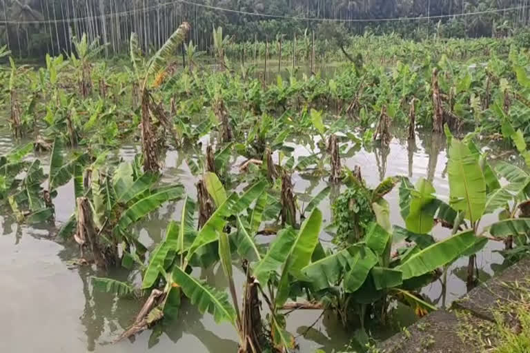 Etv  Chaliyar water level rises  Many homes are at risk of flooding  ചാലിയാറിൽ ജലനിരപ്പ് ഉയർന്നു  നിരവധി വീടുകൾ വെള്ളപ്പൊക്ക ഭീഷണിയിൽ