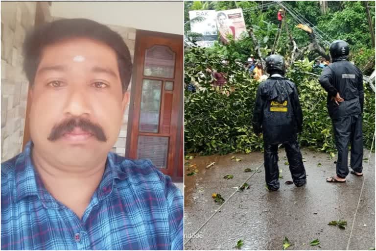 Nedumangad: A man died when a tree fell on him  നെടുമങ്ങാട് മരം ഒടിഞ്ഞ് വീണ് ഒരാൾ മരിച്ചു