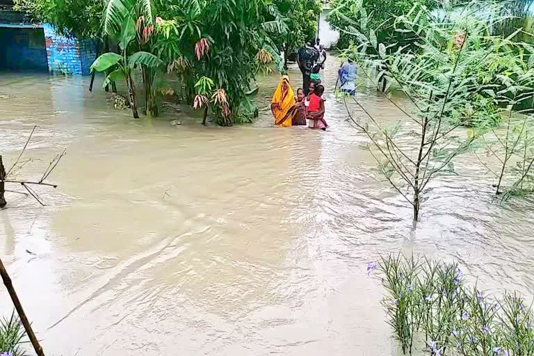 Flood havoc continues in Bihar