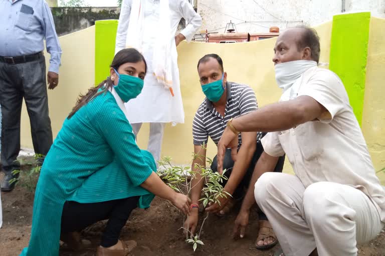 plantation in datia