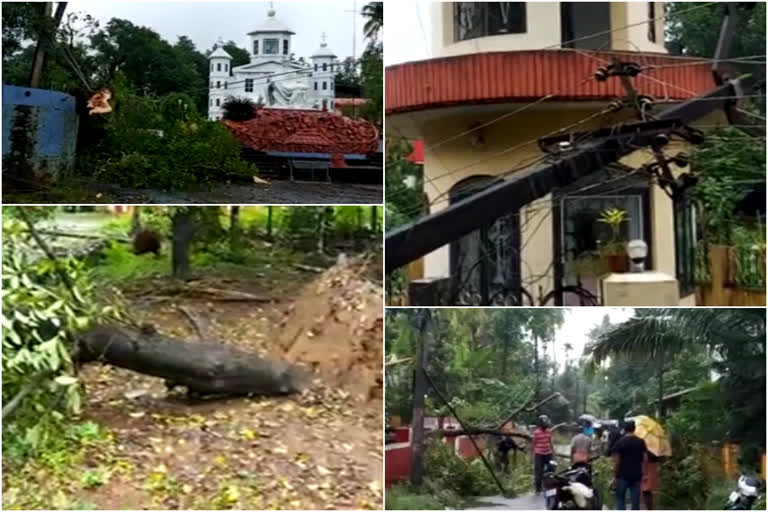 ചാലക്കുടി മോതിരക്കണ്ണി  ചുഴലിക്കാറ്റിൽ വൻ നാശനഷ്‌ടം  വൈദ്യുതി പോസ്റ്റുകൾ  മരങ്ങൾ കടപുഴകി വീണു  വൈദ്യുതിബന്ധം തകരാറിലായി  മോതിരക്കണ്ണി മഴ  storm Chalakudy  Electric posts and trees fell down  Chalakudy mothirakkanni  thrissur rain and strong wind  KSEB