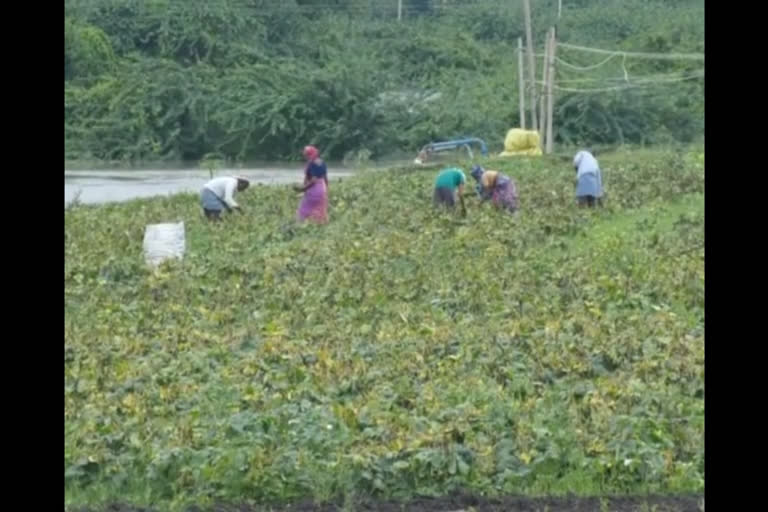 Bridge sunk in bennehalla floods: Riverfront people in threat