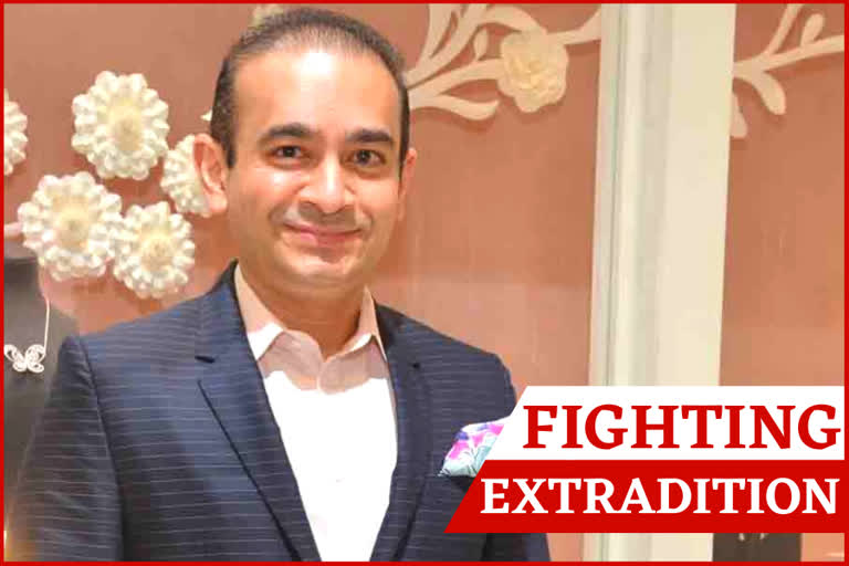 Nirav Modi