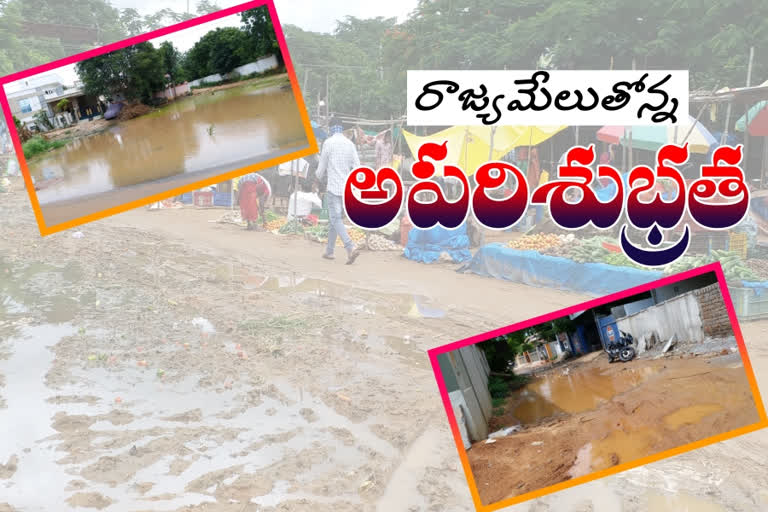 ఉమ్మడి మహబూబ్‌నగర్‌ జిల్లాలో ప్రశ్నార్థకంగా మారిన పారిశుద్ధ్యం