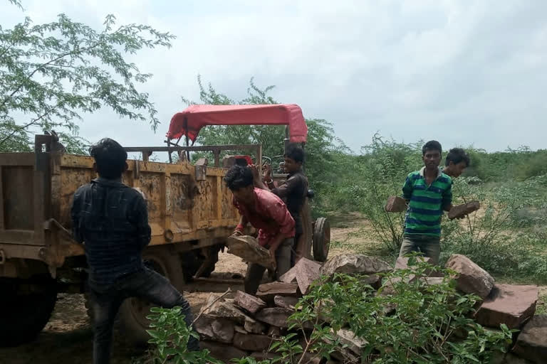 चारागाह भूमि से हटा अतिक्रमण, Encroachment removed from pasture land