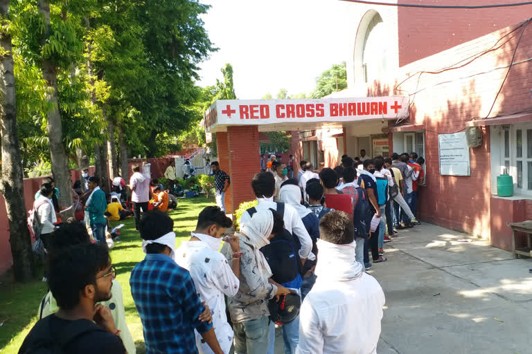 youth create ruckus at red cross office jind