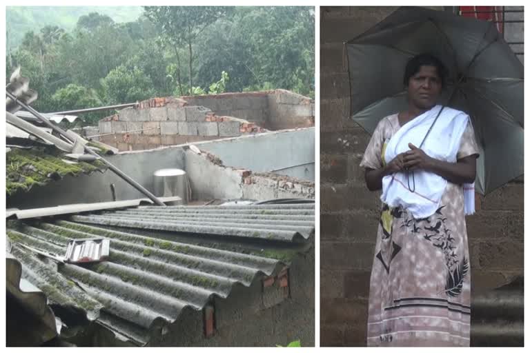 rains were heavy  heavy rains  Adimali region  കാലവര്‍ഷം കനത്തു  അടിമാലി മേഖല  നാശനഷ്ടം