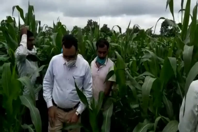 mla-yogesh-pandagara-reached-among-the-farmers-and-visited-the-fields