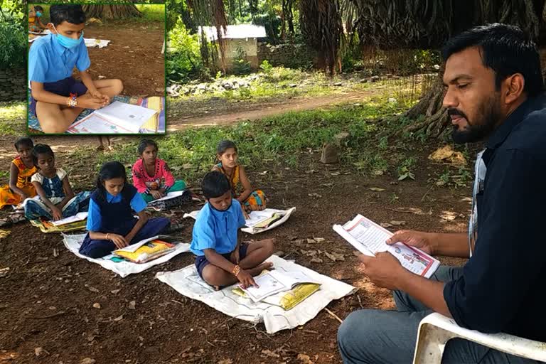 class under tree