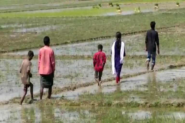 Hailakandi bad road condition