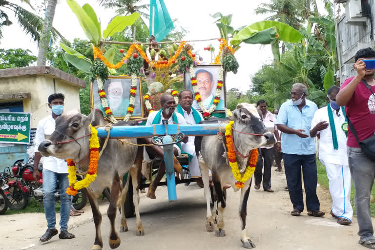 paddy festival