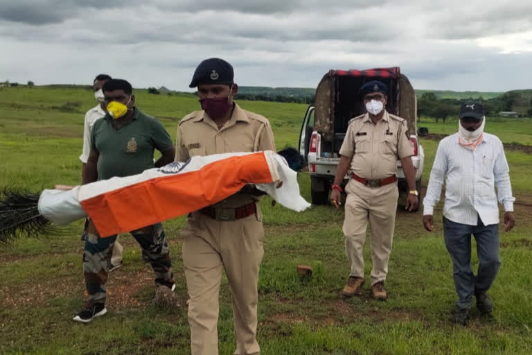 Peacock dies of electric shock in nashik