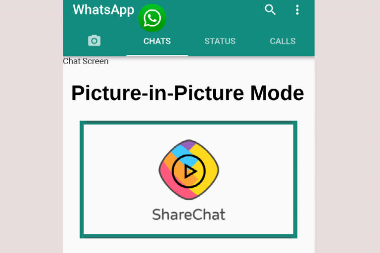 whatsapp status video sharechat,sharechat status video