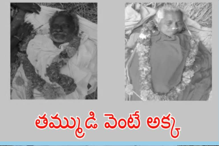 brother and sister suicide in numbur guntur district