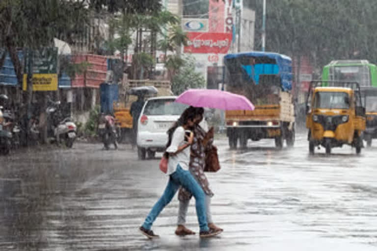 palakkad rain updates  palakkad rain death  palakkad news  പാലക്കാട് മഴ വാർത്ത  പാലക്കാട് വാർത്തകൾ  പാലക്കാട് മഴ മരണം