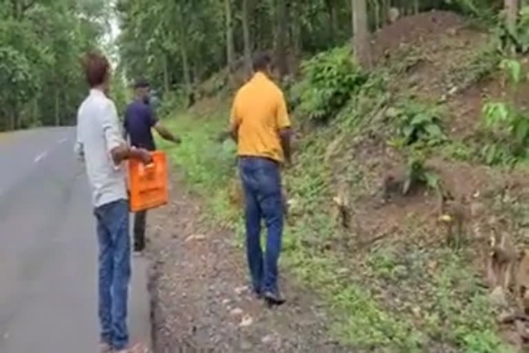 Social worker fed fruits to monkeys