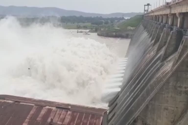 Floodwaters are drained through 8 gates from Hirakud