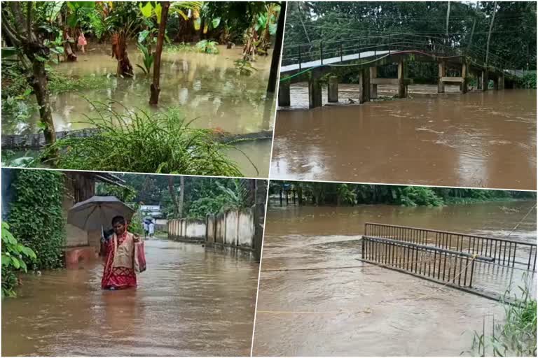 അപ്പര്‍കുട്ടനാട് വെള്ളത്തില്‍ മുങ്ങി  കനത്ത മഴ  ആലപ്പുഴ  Upper Kuttanad flooded with rain water  alappuzha  upper kuttanad  rain heavy kerala  കേരളം മഴ വാർത്ത