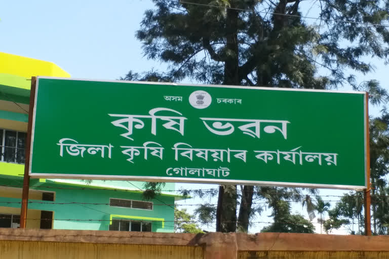 গোলাঘাট