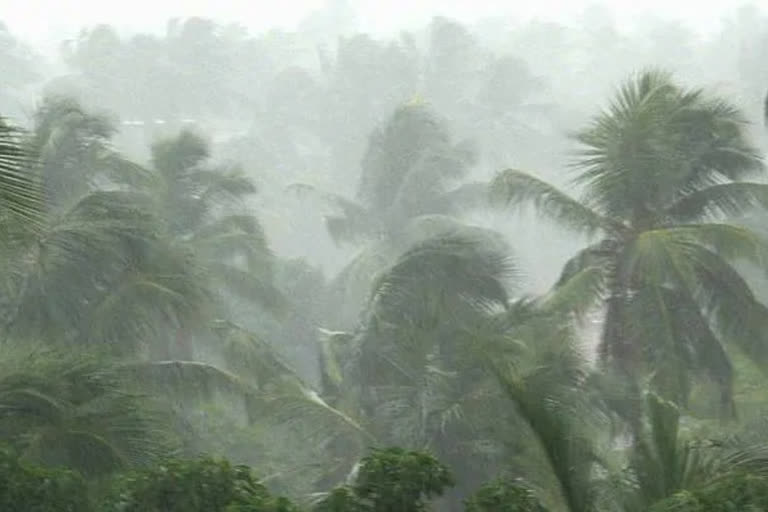 സംസ്ഥാനത്ത് ഇന്നും കനത്ത മഴയ്ക്ക് സാധ്യത  നാല് ജില്ലകളിൽ റെഡ് അലർട്ട്  Heavy rains expected in the state today  Red Alert in four districts