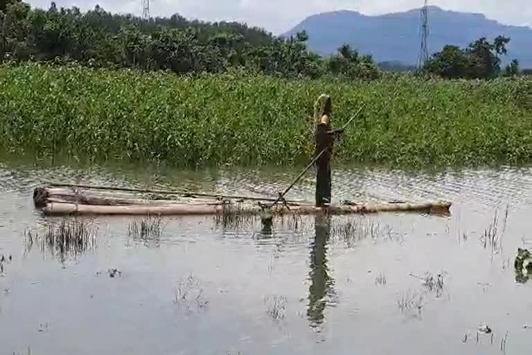 ৰাজ্যৰ বহুকেইখন জিলা এতিয়াও বাঢ়নী পানীৰ তলত