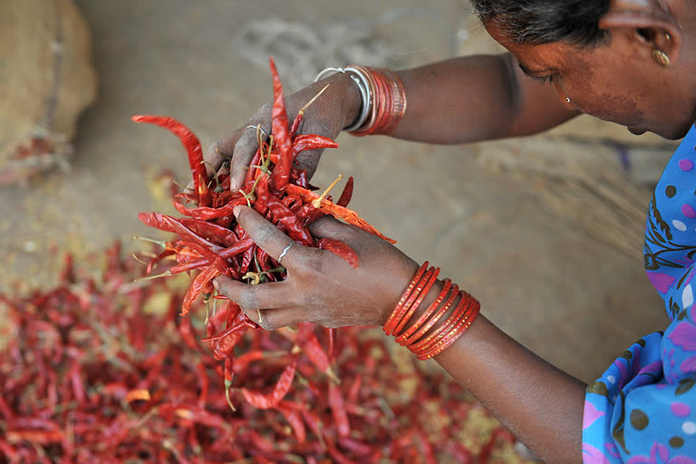 Are Chillies Healthy?