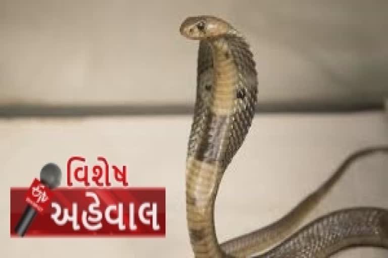 નાગપંચમીઃ સાપ દૂધ નથી પીતાં, એને પૂજો પણ સાથે છે રક્ષણની જરુર