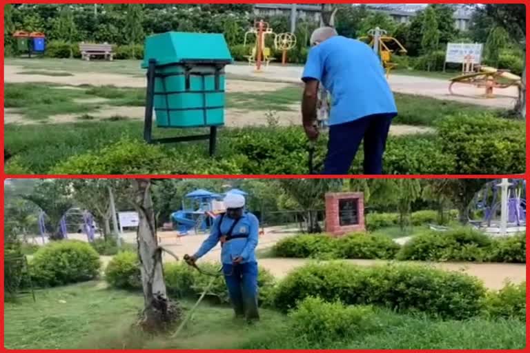 mcd doing beautification work in guru tegbahadur park