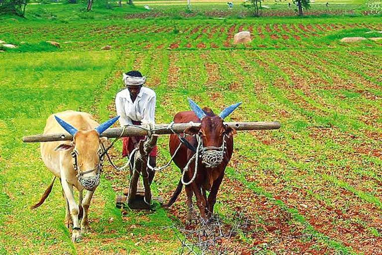 PM to launch agri-infra fund tomorrow