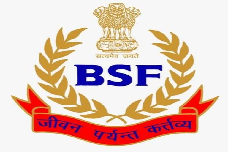 BSF kills Pak intruder along IB in Barmer