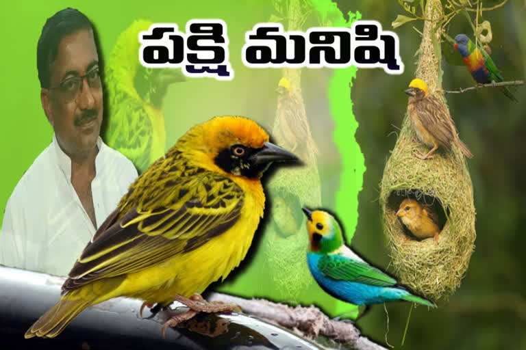 karnatakas-birdman-grows-maize-in-three-acres-of-land-for-thousands-of-birds