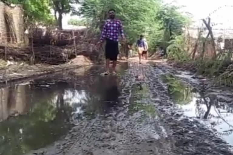 बदहाली के आंसू बहा रहा सलेमपुर गांव