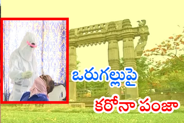 ఉమ్మడి వరంగల్​ జిల్లాపై కరోనా పంజా... ఆదివారం 231 పాజిటివ్ కేసులు